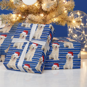 Papel De Presente Retriever Dourado em Listras de Brilho