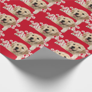 Papel De Presente Retriever ouro em margaridas em vermelho