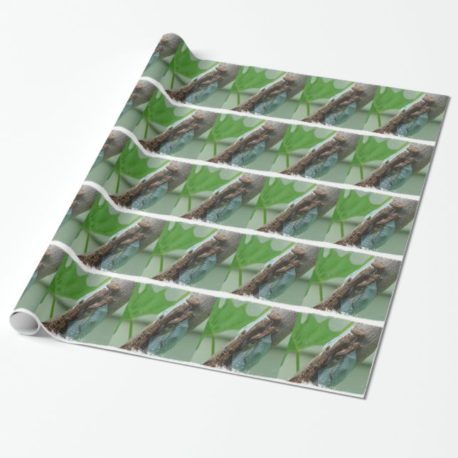 Papel De Presente Rezando Inseto Mantis (Desenrolado)