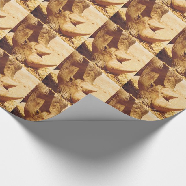 Papel De Presente Rhinoceronte Love (Ponta)