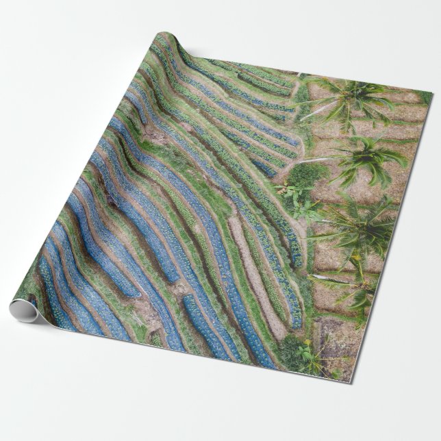 Papel De Presente Rio entre coqueiros (Desenrolado)