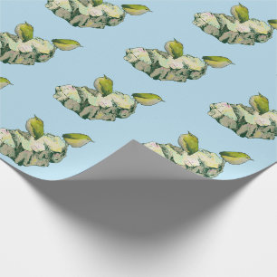 Papel De Presente Rock Wren Pássaros Nova Zelândia