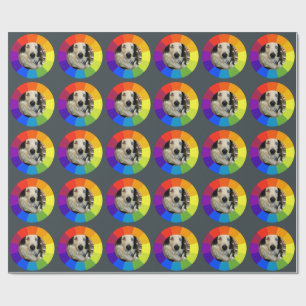Papel De Presente Roda de Cores do Arco-íris