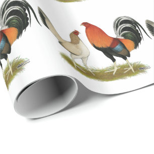 Papel De Presente Rodas de Gamefowl