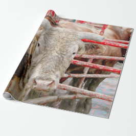 Papel De Presente Rodeo Bull País Russo Ocidental