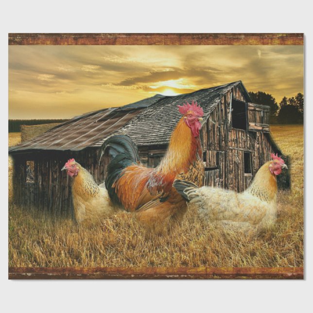 Papel De Presente Rooster Hens Russo Barn Coop (Aberto)