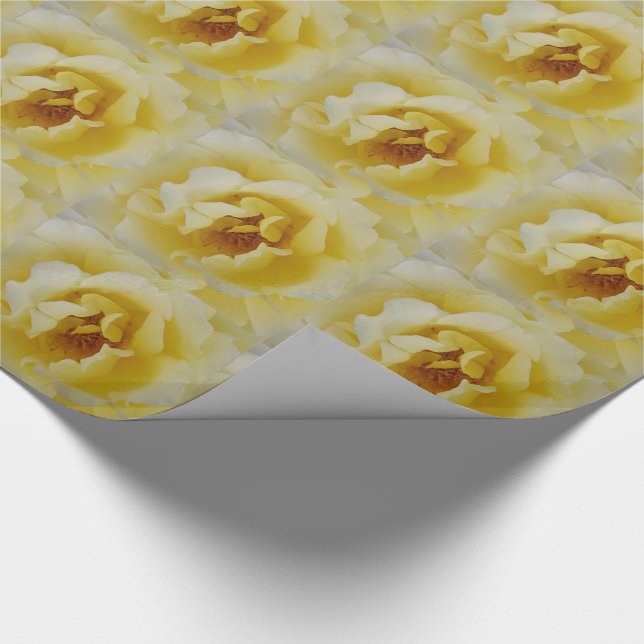 Papel De Presente Rosa Amarela (Ponta)