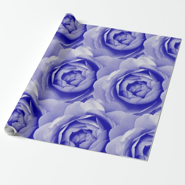 Papel De Presente Rosa azul (Desenrolado)