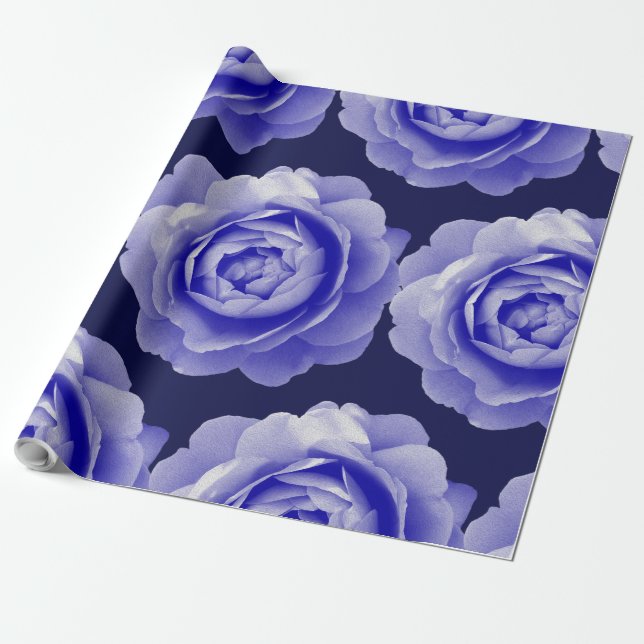 Papel De Presente Rosa azul (Desenrolado)