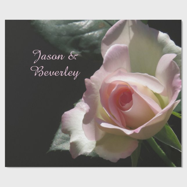 Papel De Presente Rosa de Casamento Rosa (Aberto)