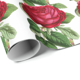Papel De Presente Rosa vermelha