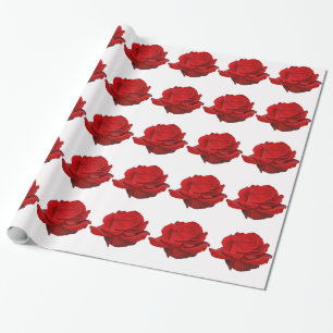 Papel De Presente Rosa vermelha em branco
