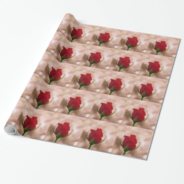 Papel De Presente Rosa vermelha solteiro (Desenrolado)