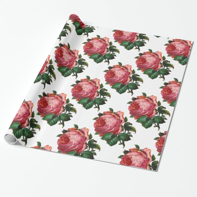 Papel De Presente ROSAS BELAS, ROSAS DE ROSA, brancas (Desenrolado)