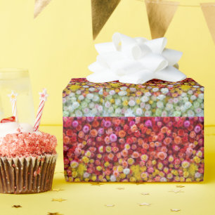 Papel De Presente Rosas Coloridas e Crisântemos Gradiente Floral