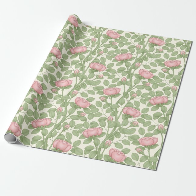 Papel De Presente Rosas rosa em Creme (grande escala) (Desenrolado)