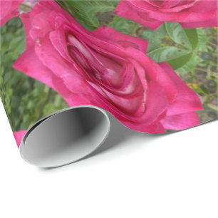 Papel De Presente Rosas Rosa Românticas Rosa Flores Florais