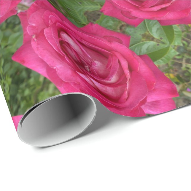 Papel De Presente Rosas Rosa Românticas Rosa Flores Florais (Ponta do rolo)