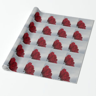 Papel De Presente Rosas vermelhas contra o céu azul brilhante