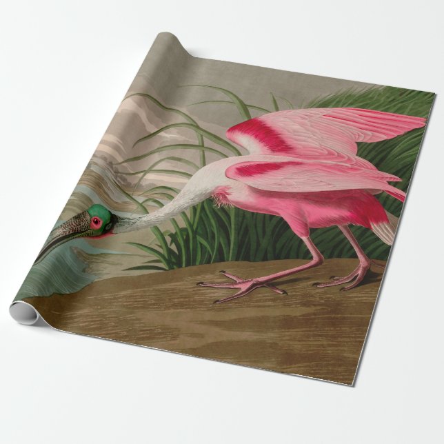 Papel De Presente Roseate Spoonbill Birds, Impressão da América Audu (Desenrolado)