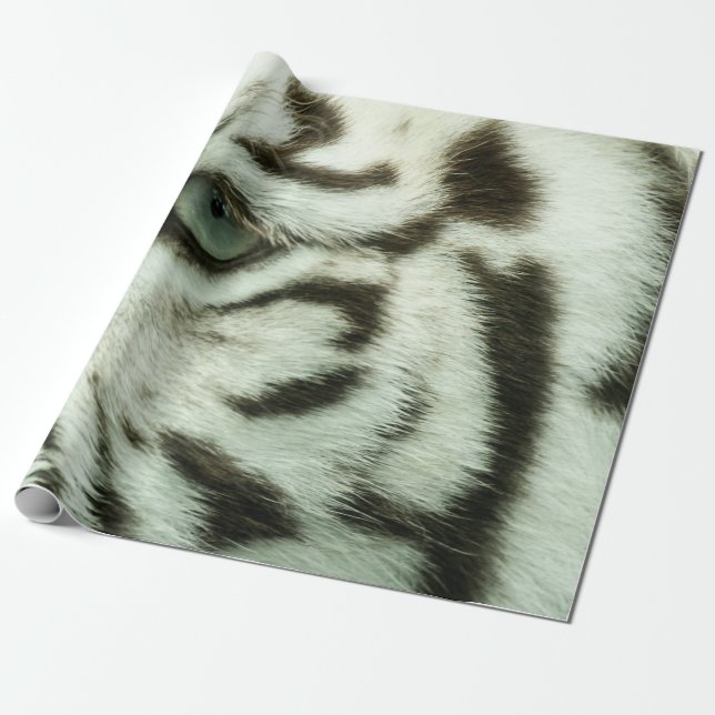 PAPEL DE PRESENTE ROSTO DE TIGRE BRANCO (Desenrolado)
