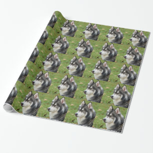 Papel De Presente Rouco