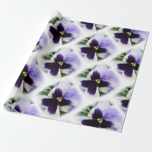 Papel De Presente roxo profundo em branco