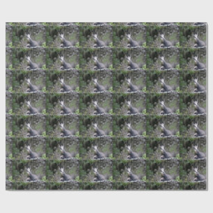 Papel De Presente Rupicapra rupicapra