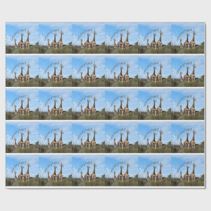 Papel de Presente Safari Crescendo Alto