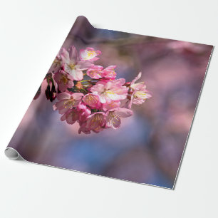 Papel De Presente Sakura Cherry Blossoms A Rosa
