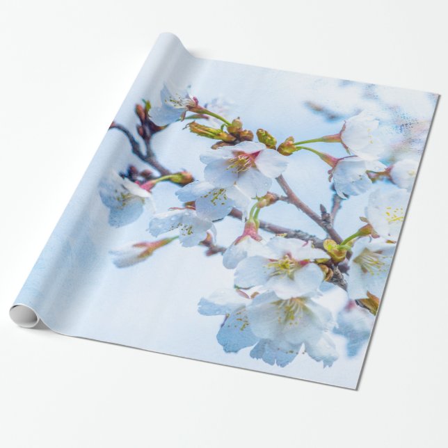 Papel De Presente Sakura - Flor de Cereja Japonês (Desenrolado)