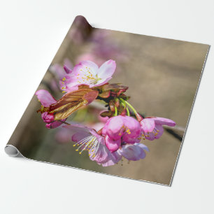 Papel De Presente Sakura Flores Contra O Fundo Verde