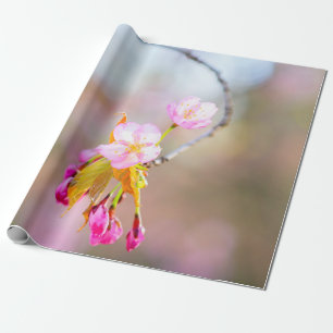 Papel De Presente Sakura Flores Numa Ponta Da Hélice Do Tempo