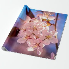Papel De Presente Sakura No Sombreado Das Árvores