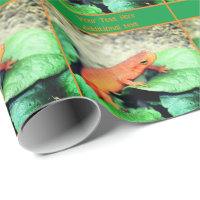 Salamandra Laranja-Cura Personalizada