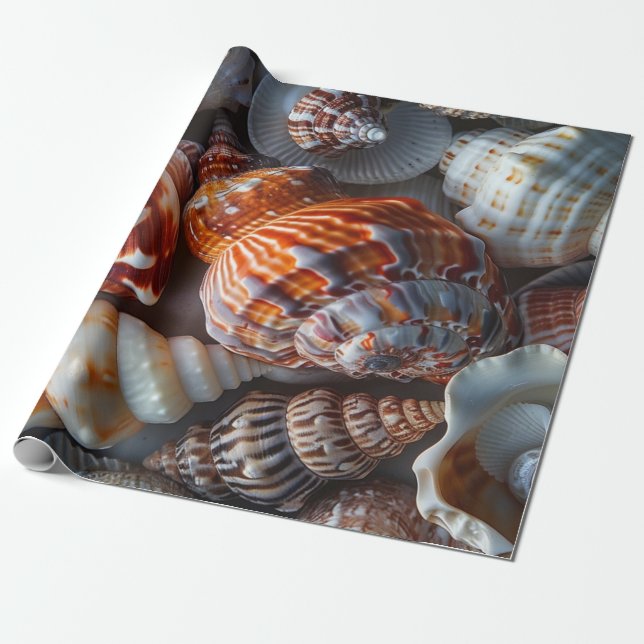 Papel De Presente Sally Vende Conchas (Desenrolado)