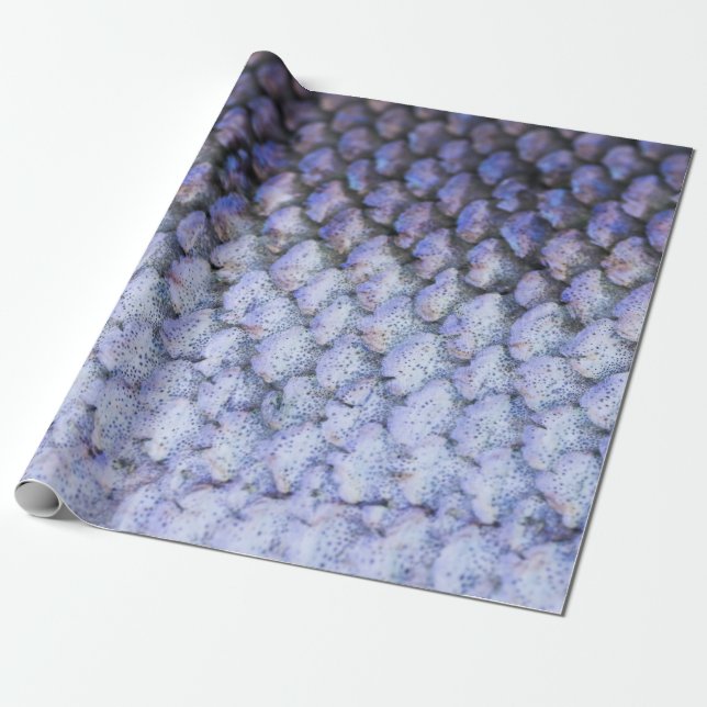 Papel De Presente Salmão Shimmering (Desenrolado)