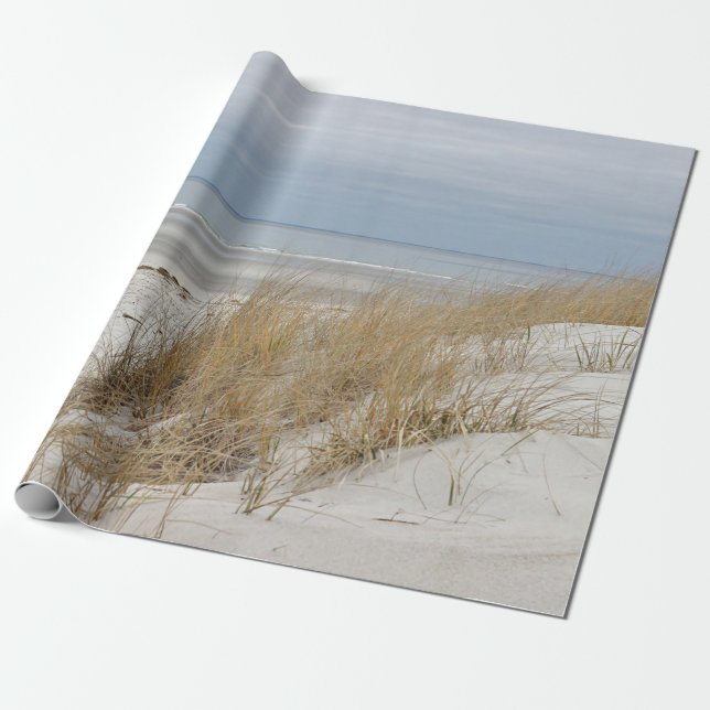 Papel De Presente Sandy Beach e dunas no inverno (Desenrolado)