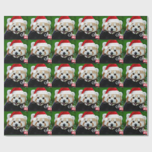 Papel De Presente Saudações dos Papais noeis do Panda Vermelho