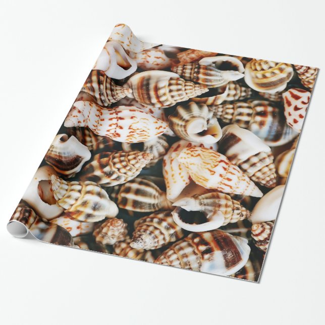 Papel De Presente Seashells minúsculos (Desenrolado)