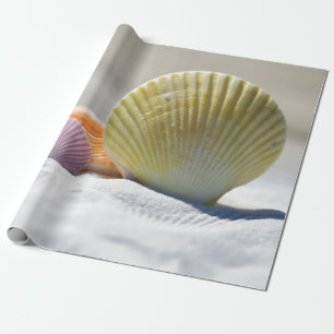 Papel De Presente Seashells na areia branca
