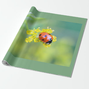 Papel De Presente senhora por cima