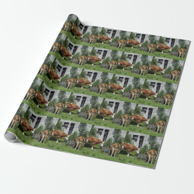 Papel De Presente Sesty Fleckvieh (Desenrolado)