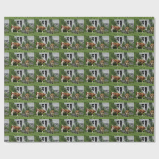 Papel De Presente Sesty Fleckvieh