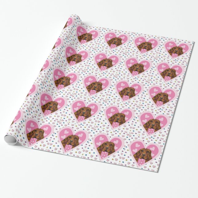 Papel De Presente Setter Irlandês (Desenrolado)
