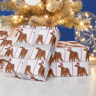 Papel De Presente Setter Irlandês de Natal