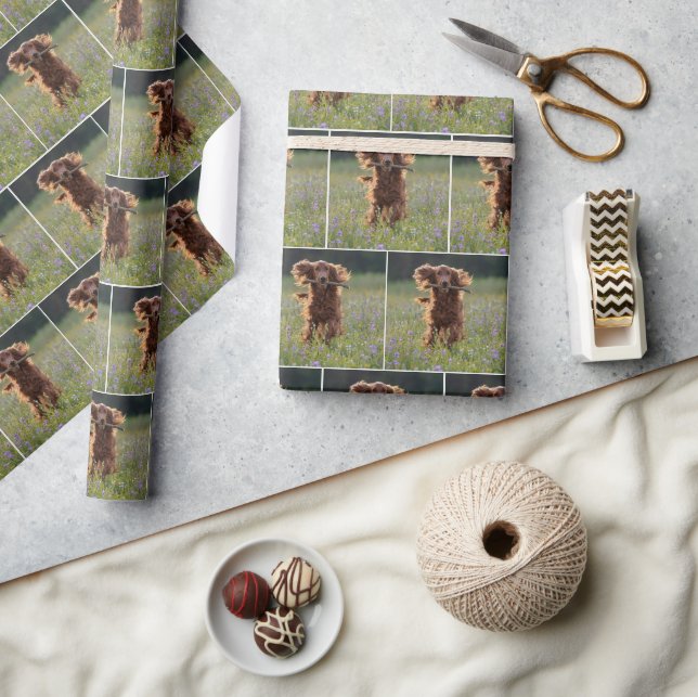 Papel De Presente Setter Irlandês Feliz Correndo Com um Graveto (Artesanato)