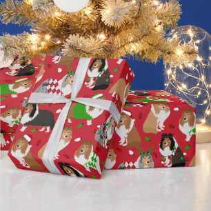 Papel De Presente Sheltie Shetland Sheepdog