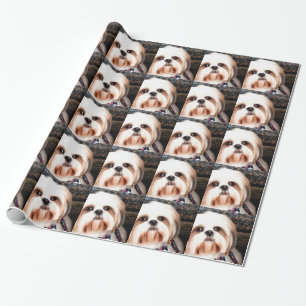 Papel De Presente Shih Tzu