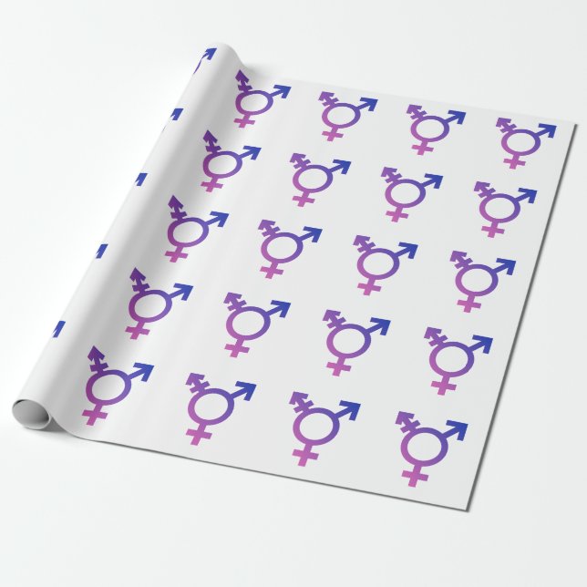 Papel De Presente Símbolo do Orgulho Trans (Desenrolado)